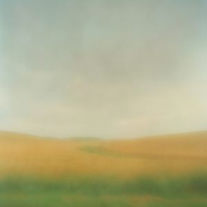 Landscape Collection
